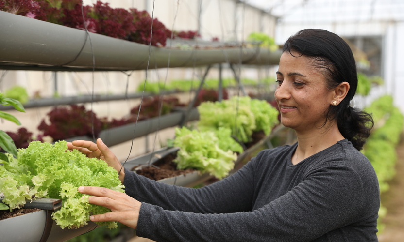 Cultivating Skills: Fatima's Development with the Agriforward