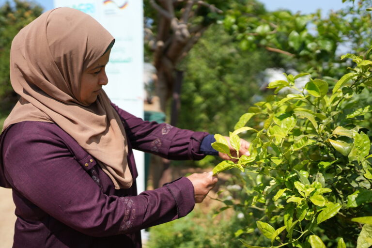 Yusra-AgriForward project-Akkar-April-2026
